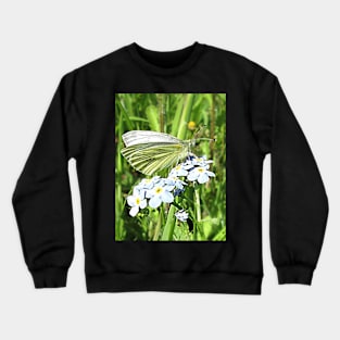 Forget Me Not Crewneck Sweatshirt